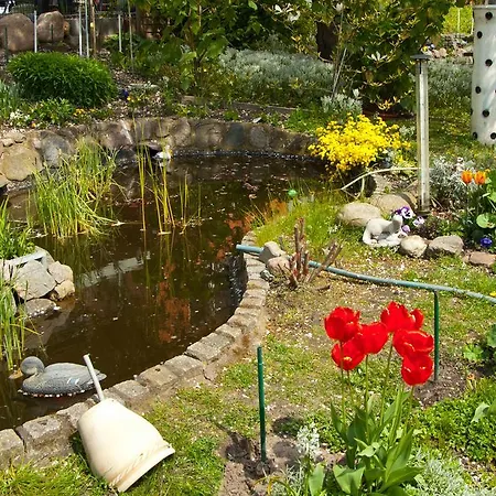 Ferien Unterm Reetdach In Gohren