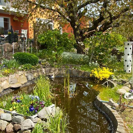 Ferien Unterm Reetdach In Gohren Casa de hóspedes *